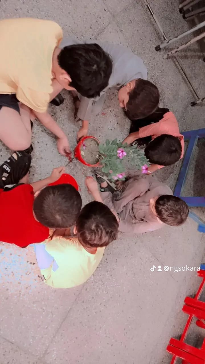 World Environment Day whatsapp image 2026 09 12 at 3.52.58 pm (1)