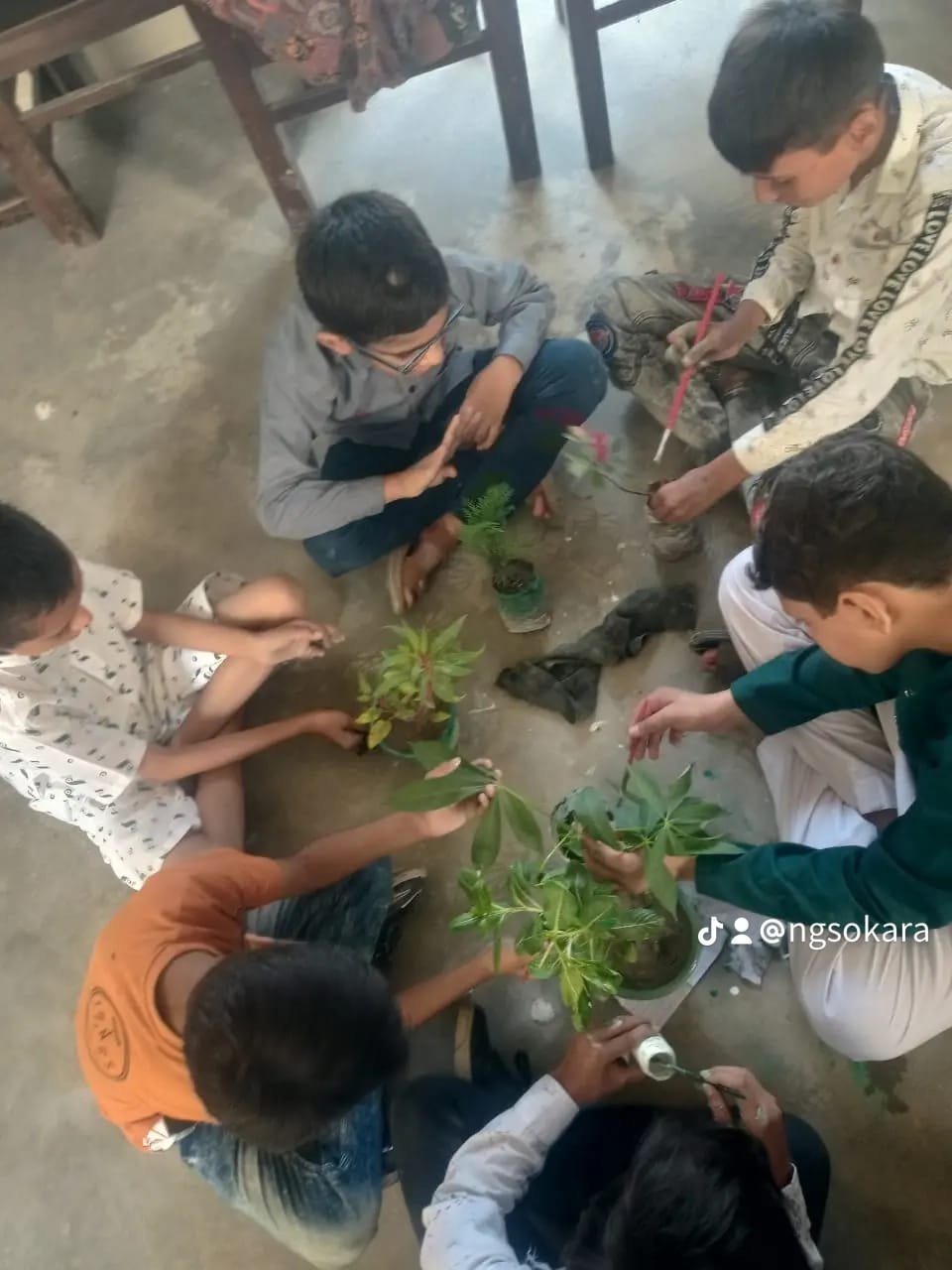World Environment Day Every tree planted today is a gift to tomorrow.